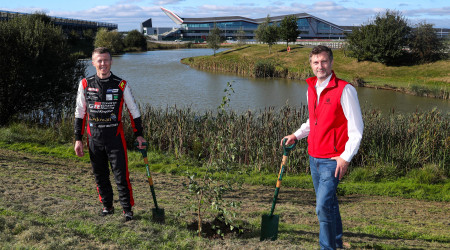 Silverstone Planting of trees cube design blog